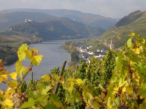 Merl an der Mosel