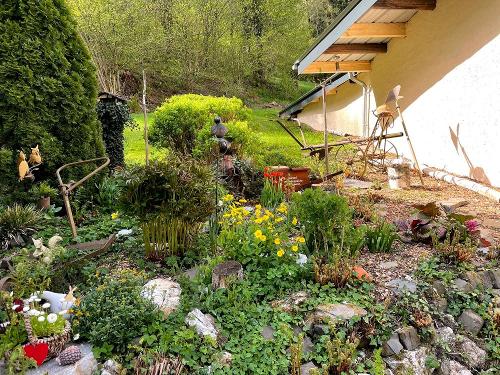 Ferienweingut Dreiherrenmühle: Wildkräutergarten