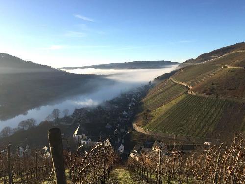 Morgenspaziergang mit Blick ins Moseltal