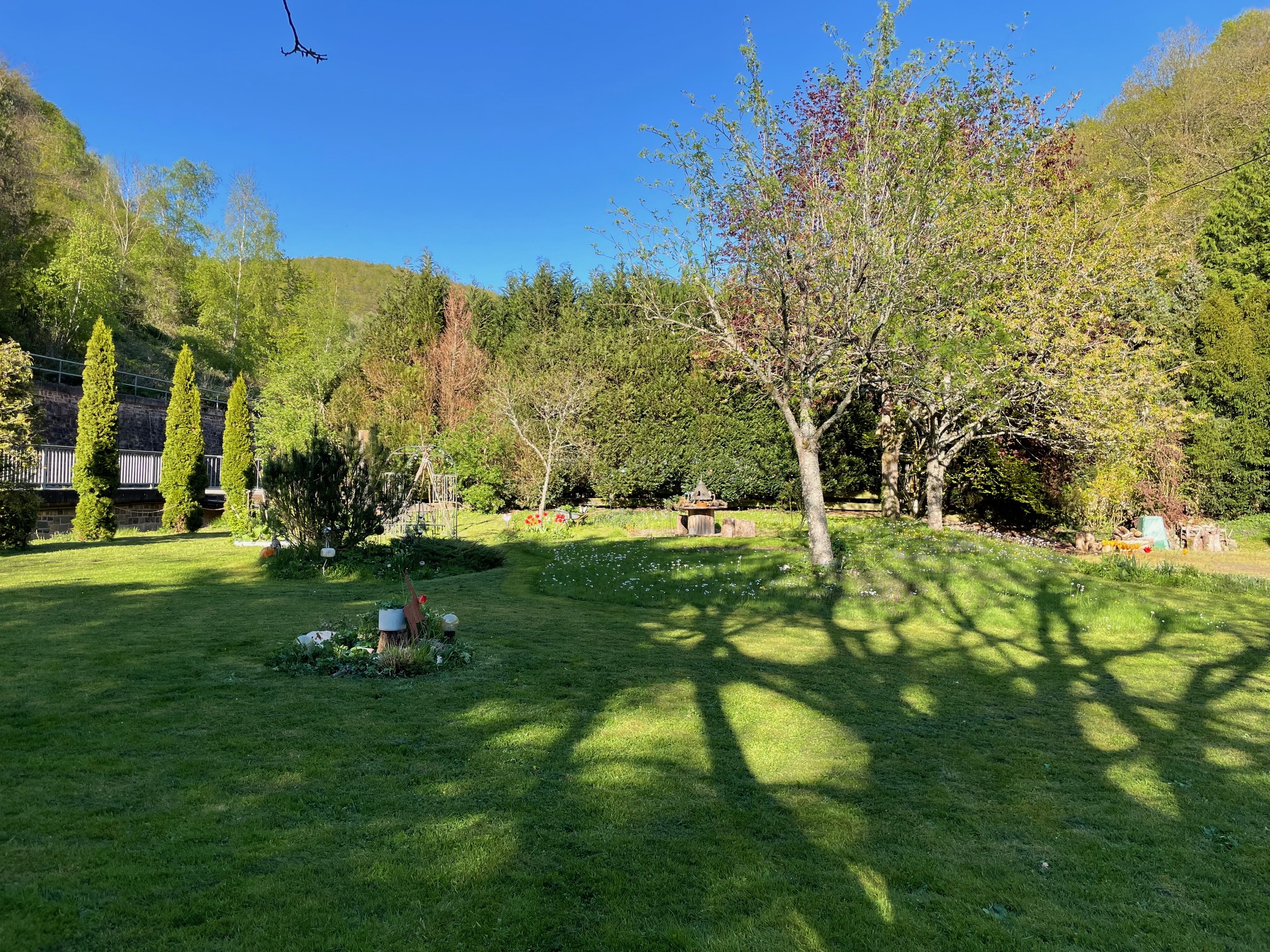 Frühlingswiese der Dreiherrenmühle Frühlingswiese der Dreiherrenmühle