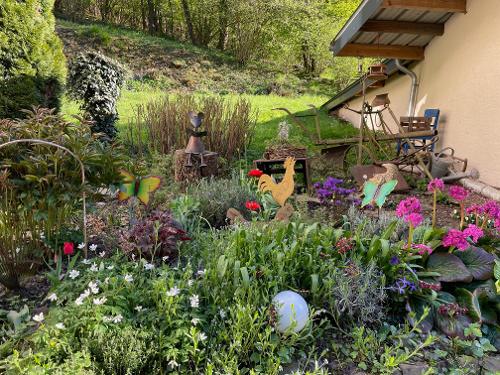 Bunte Frühlingsblüher