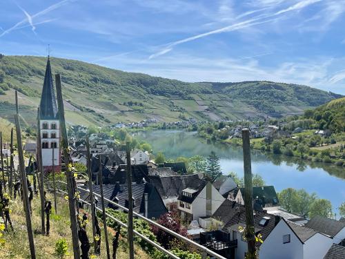 Spaziergang in den Weinbergen von Merl