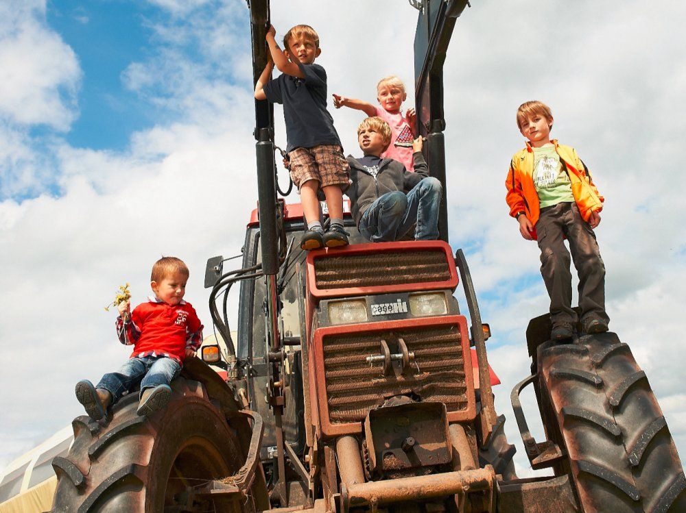 Auf dem Traktor
