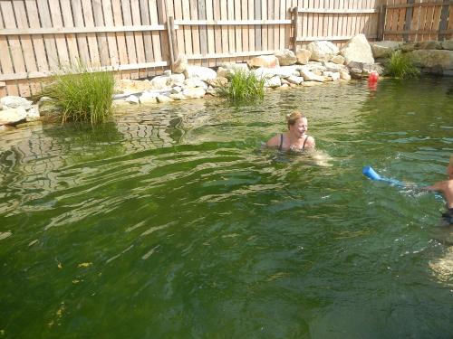 Schwimmteich