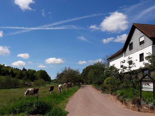 Bauernhofurlaub auf dem Kunoweiherhof