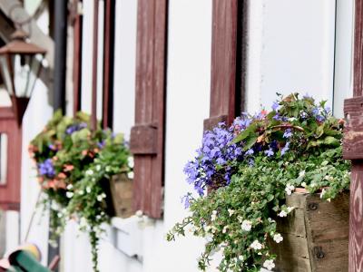 Paffi Hof Pics 2011 - 1