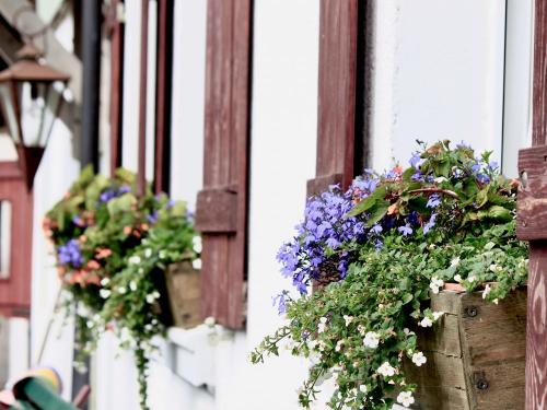 Paffi Hof Pics 2011 - 1 Paffi Hof Pics 2011 - 1