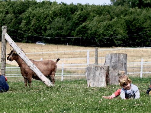 Paffi Hof Pics 2011 - 4 Paffi Hof Pics 2011 - 4