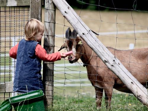 Paffi Hof Pics 2011 - 5 Paffi Hof Pics 2011 - 5