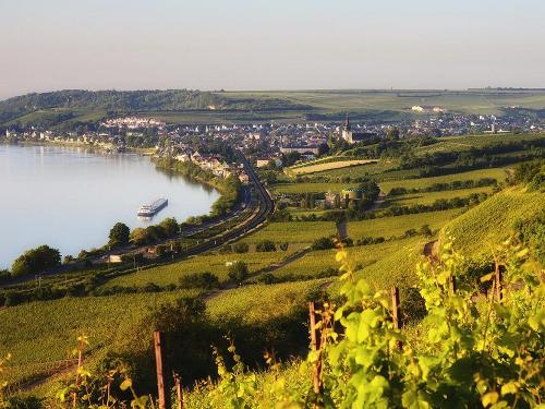 Blick von den Weinbergen auf Nierstein am Rhein