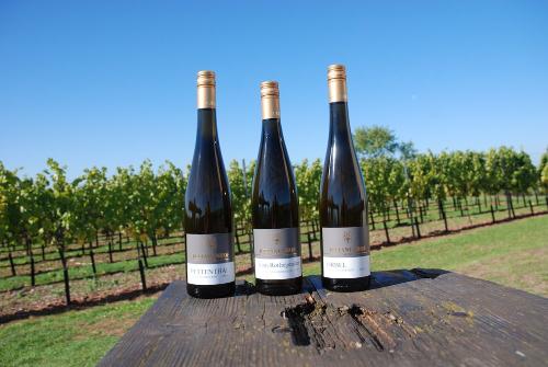 Riesling vom Niersteiner Roten Hang