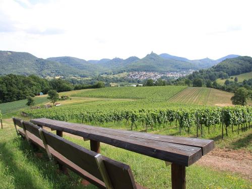 Traubenfelder