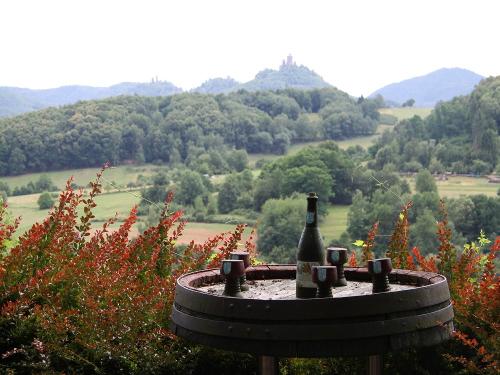 Wein
