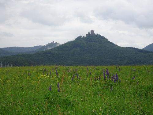 Bergblick