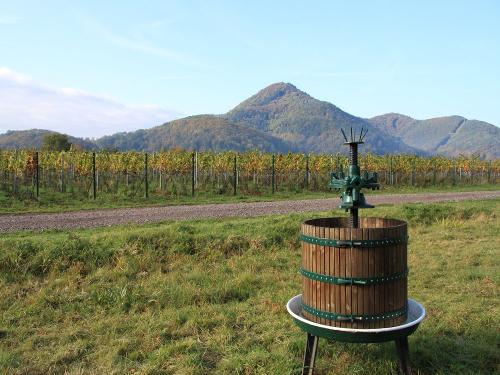 Weinpresse