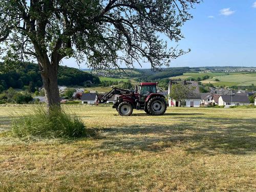 Heuernte mit dem Traktor
