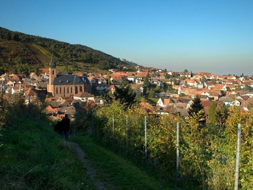 Sankt Martin - Weinurlaub in der Pfalz