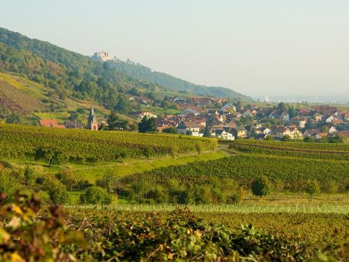Weindorf Sankt Martin