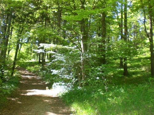 Wanderweg über die Lay