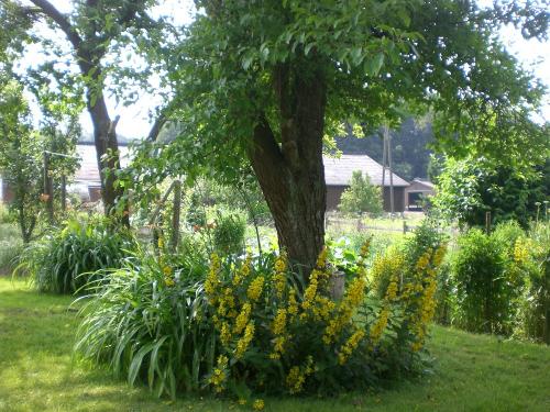 Garten zum Entspannen