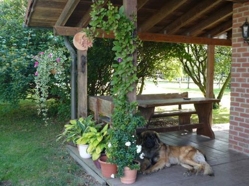 Überdachte Terrasse