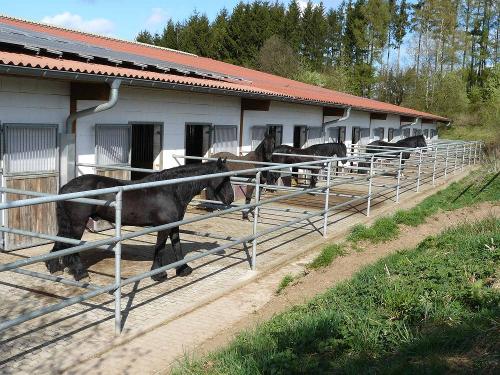 Stall mit Paddock am Mühlberghof