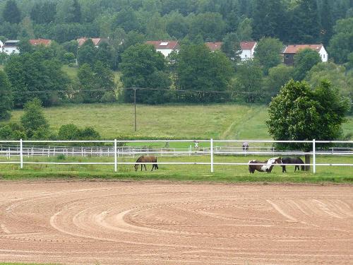 Reitplatz auf dem Mühlberghof im Saarland