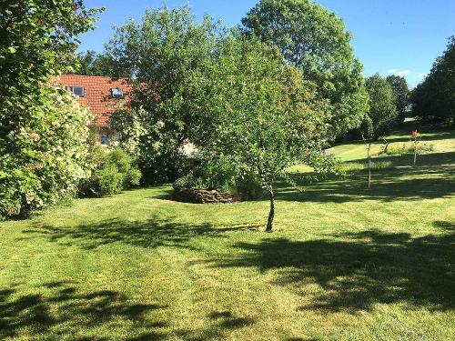 Garten mit Liegewiese