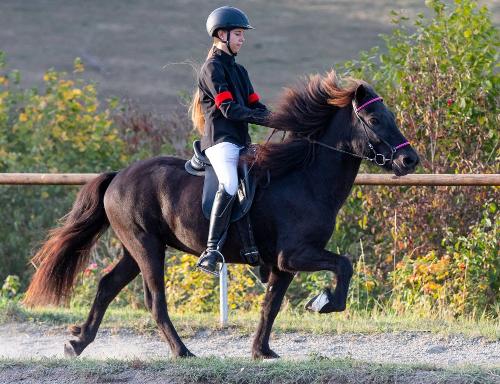 Reiterin auf dem Reitplatz auf dem Sangerhof