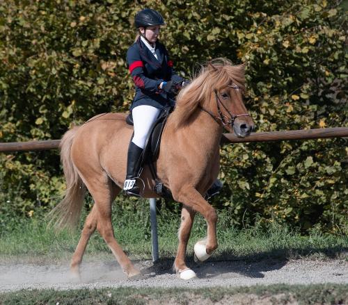 Reiterin auf dem Reitplatz auf dem Sangerhof