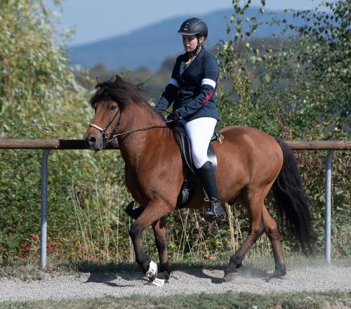 Reiterin auf dem Reitplatz auf dem Sangerhof