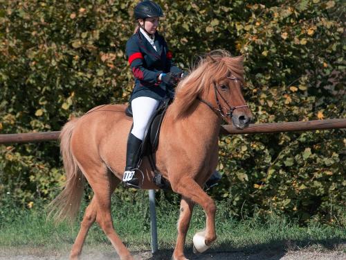 Reiterin auf dem Reitplatz auf dem Sangerhof