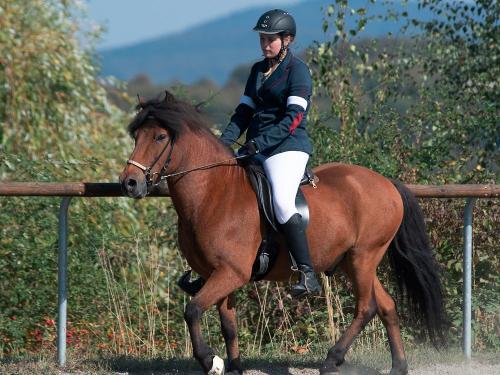 Reiterin auf dem Reitplatz auf dem Sangerhof