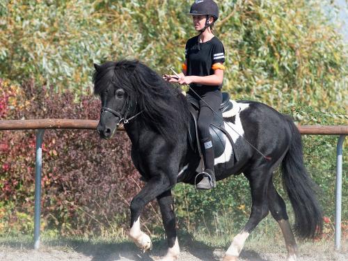 Reiterin auf dem Reitplatz auf dem Sangerhof