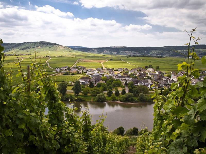 Blick auf Köwerich an der Mosel