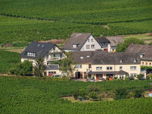 Ferienweingut Winnebeck umgeben von Weinbergen