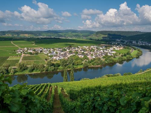 Köwerich an der Moselschleife