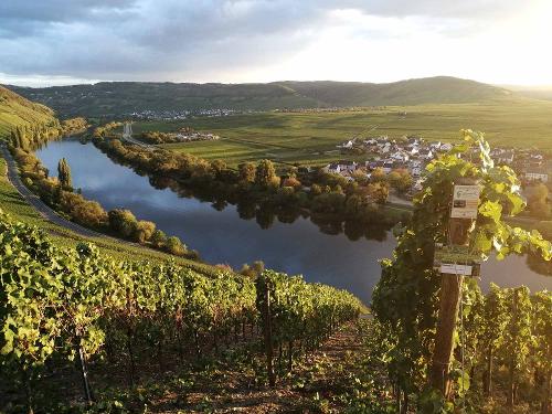 Steillage im Herbst
