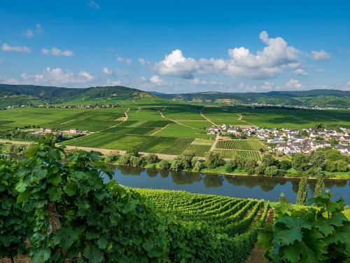 Köwerich an der Mosel
