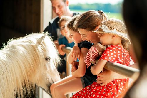Bei den Ponys