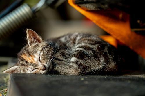 Gute Nacht!