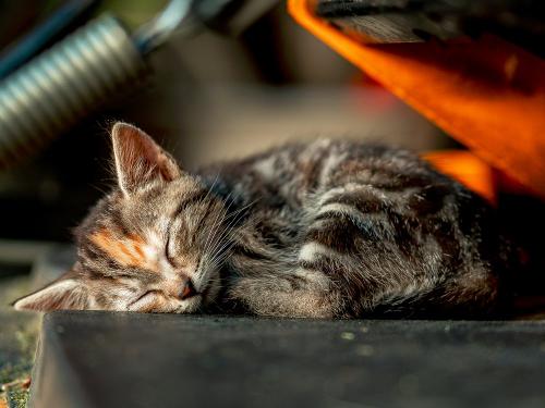 Gute Nacht!