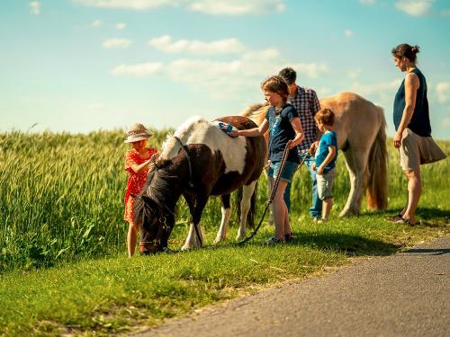 Ponyspaziergang