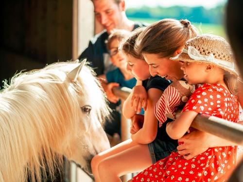 Bei den Ponys
