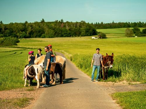 Spaziergang mit Pony und Esel