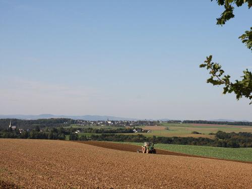 Ausblick in den Hunsrück
