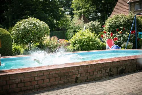 Ab in den Pool