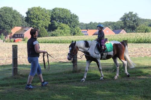 Geführtes Reiten