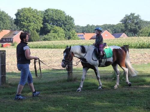 Geführtes Reiten
