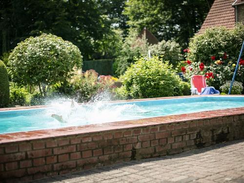Ab in den Pool